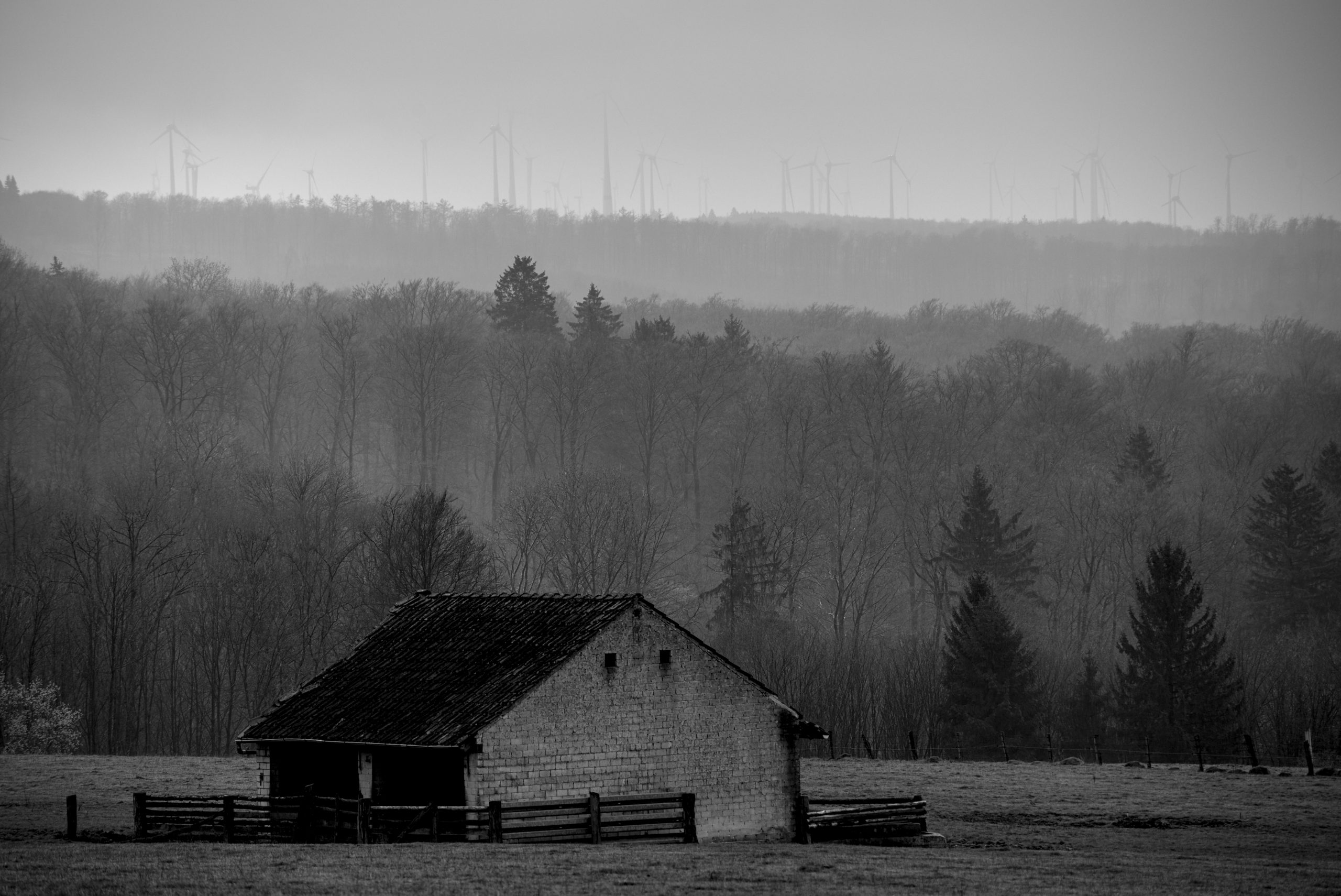 Scheune im Nebel
