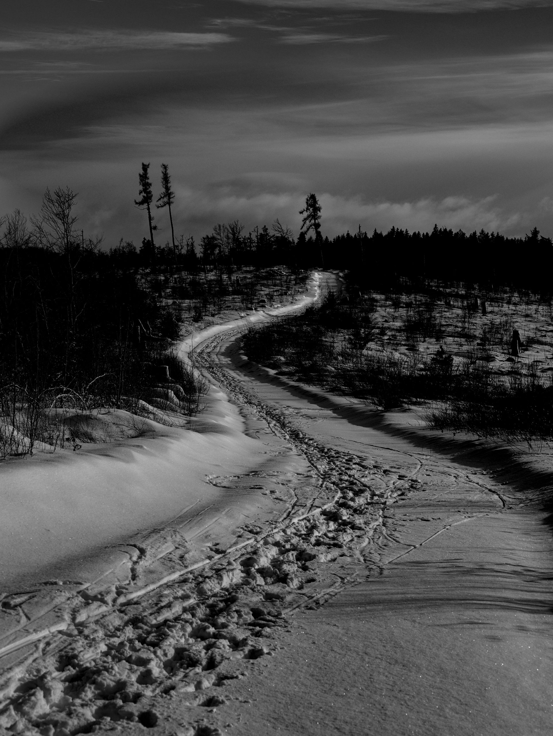 Der Pfad im Schnee
