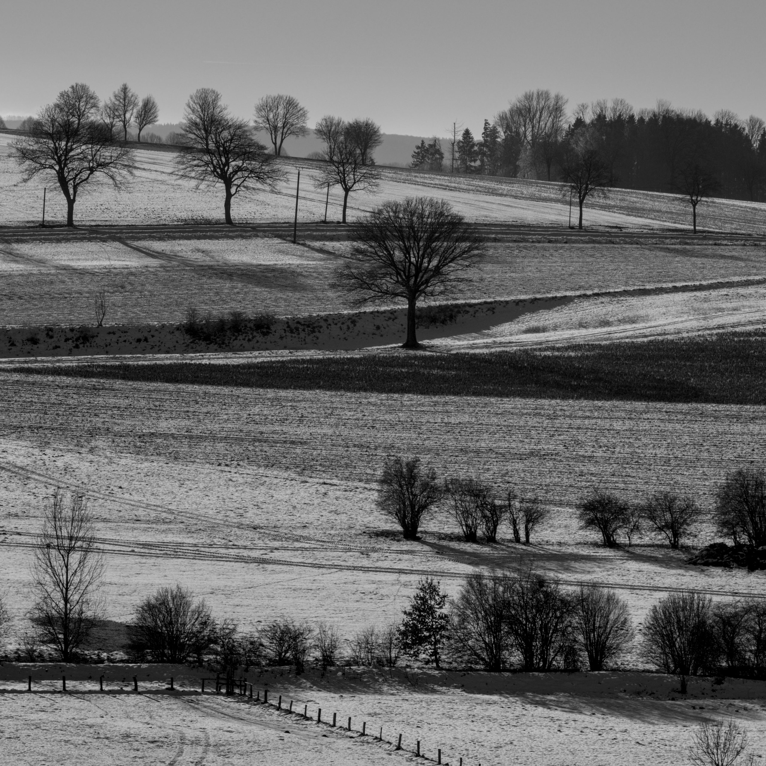 winter